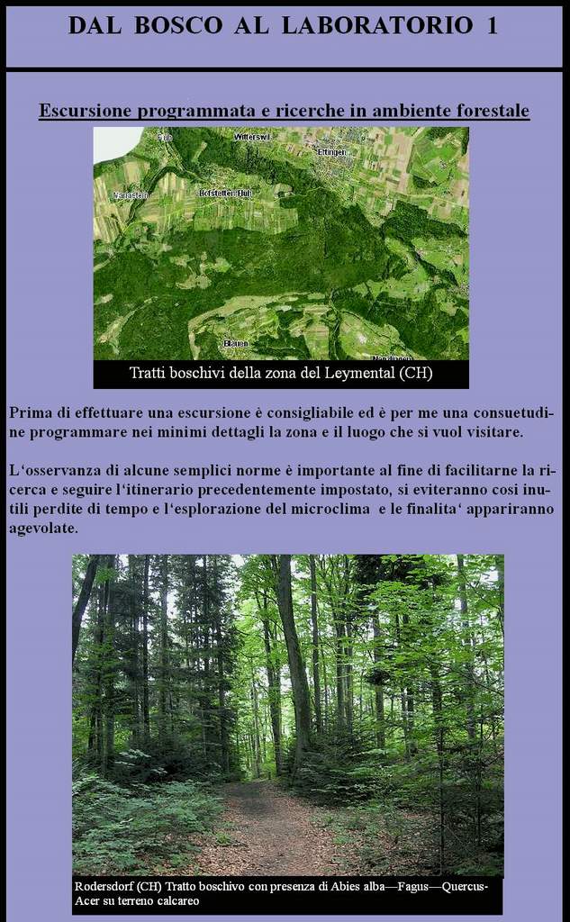 Dal Bosco al Laboratorio